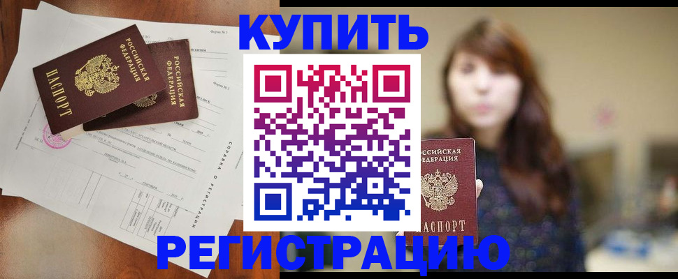 прописка поиск в Новозыбкове